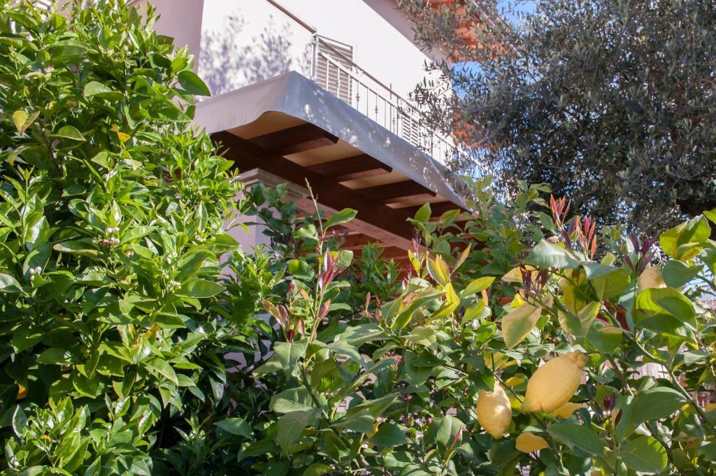 B&B Alle Tre Rose Montignoso Exterior photo